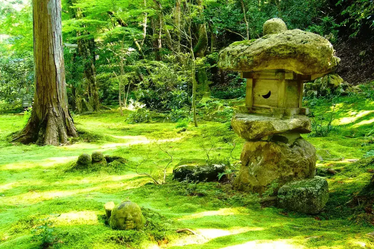 The moss garden of Sanzen-in in Ohara on a day trip from Kyoto by bus